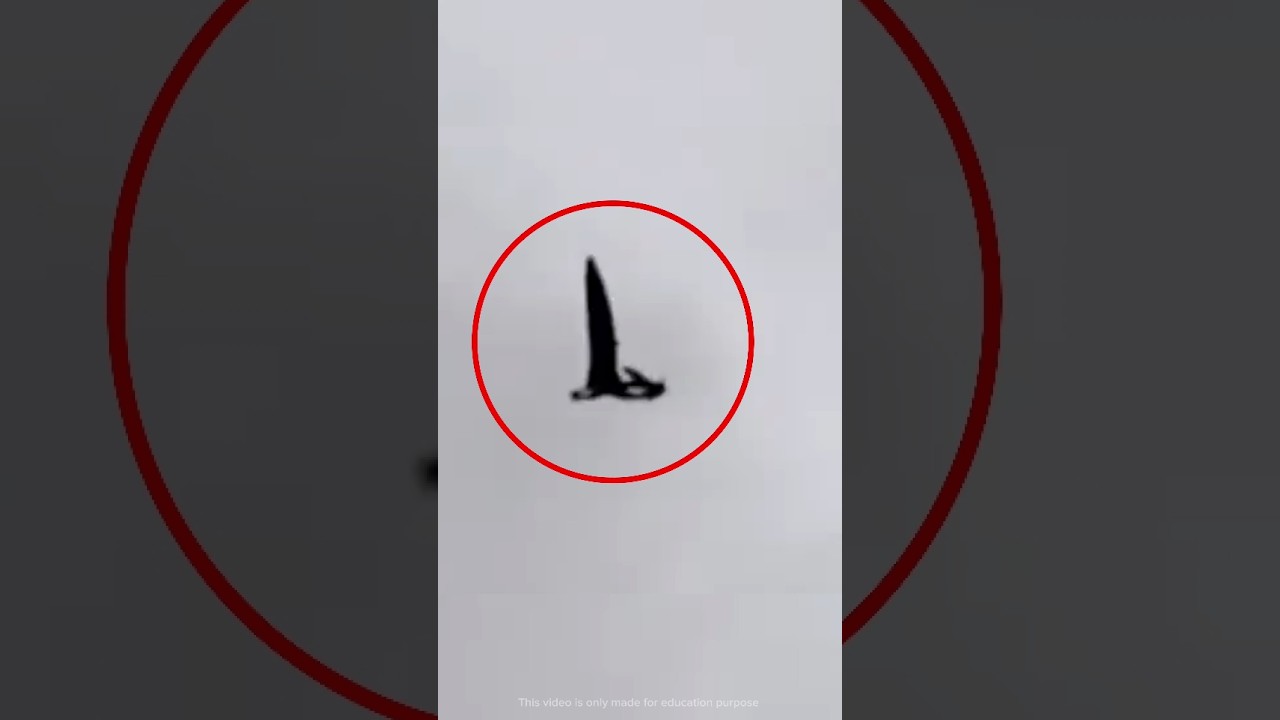 Rare Footage of Extinct Animals 🦏