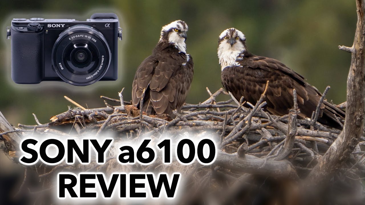 Sony a6100 Mirrorless Camera Review 📸