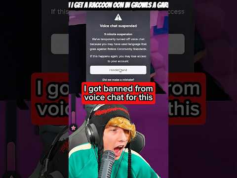 Roblox Banned Me For This