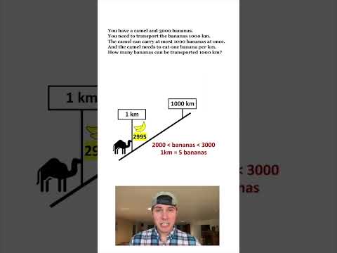 Camel Delivers 3000 Bananas 1000km