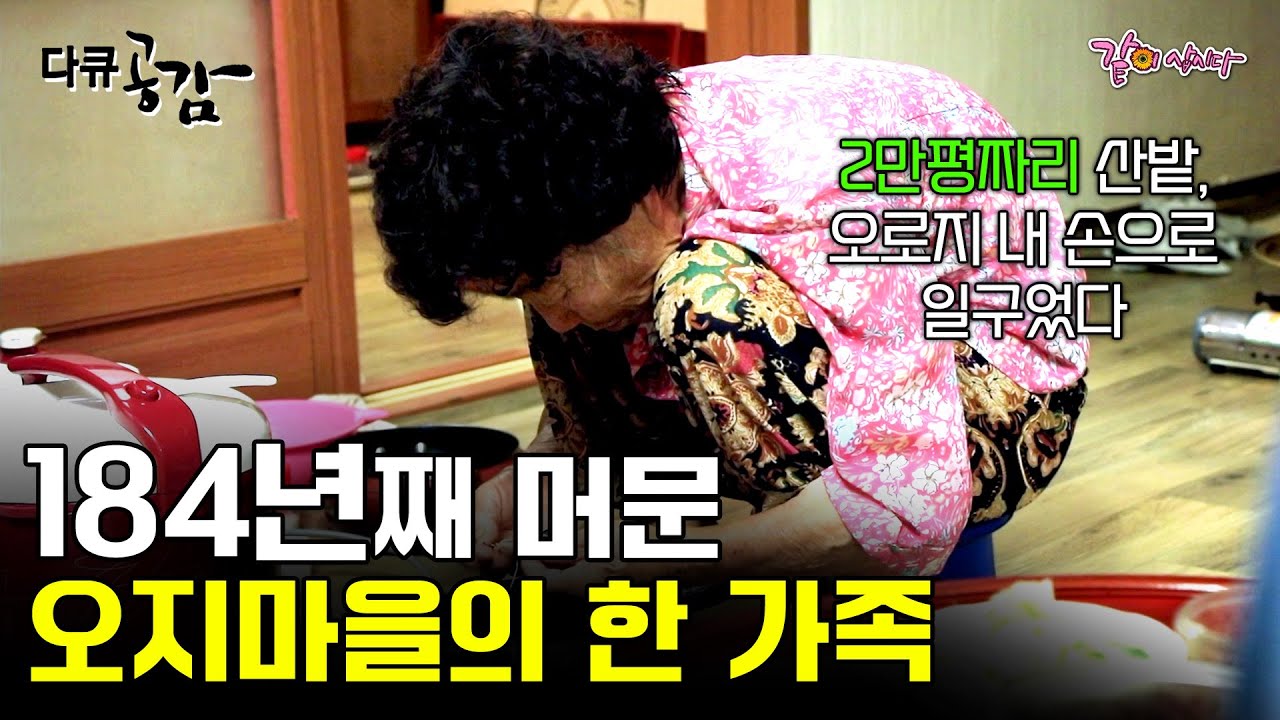 섬 속의 섬, 184년째 살아온 가족의 이야기 🌴