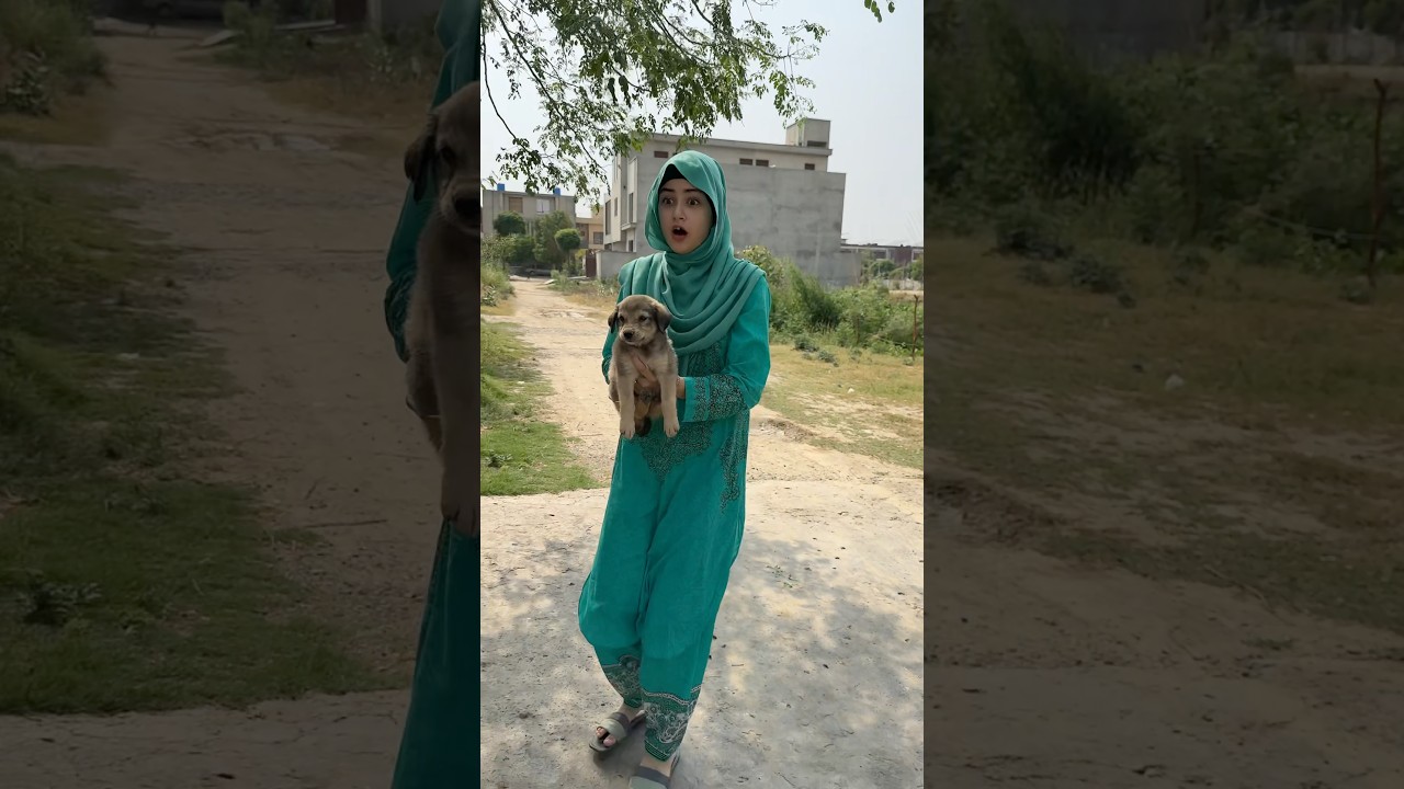 Shaheer's Funny Moment: Dog Eats His Food! 🐶 #shorts