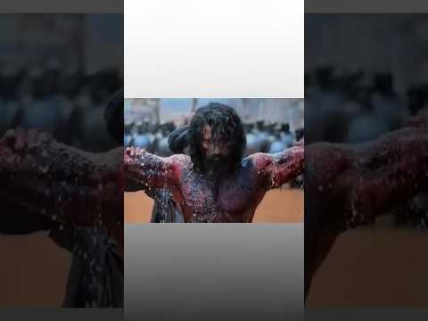 Rarest Detail of Chhavva 🤯🎥 #bollywood