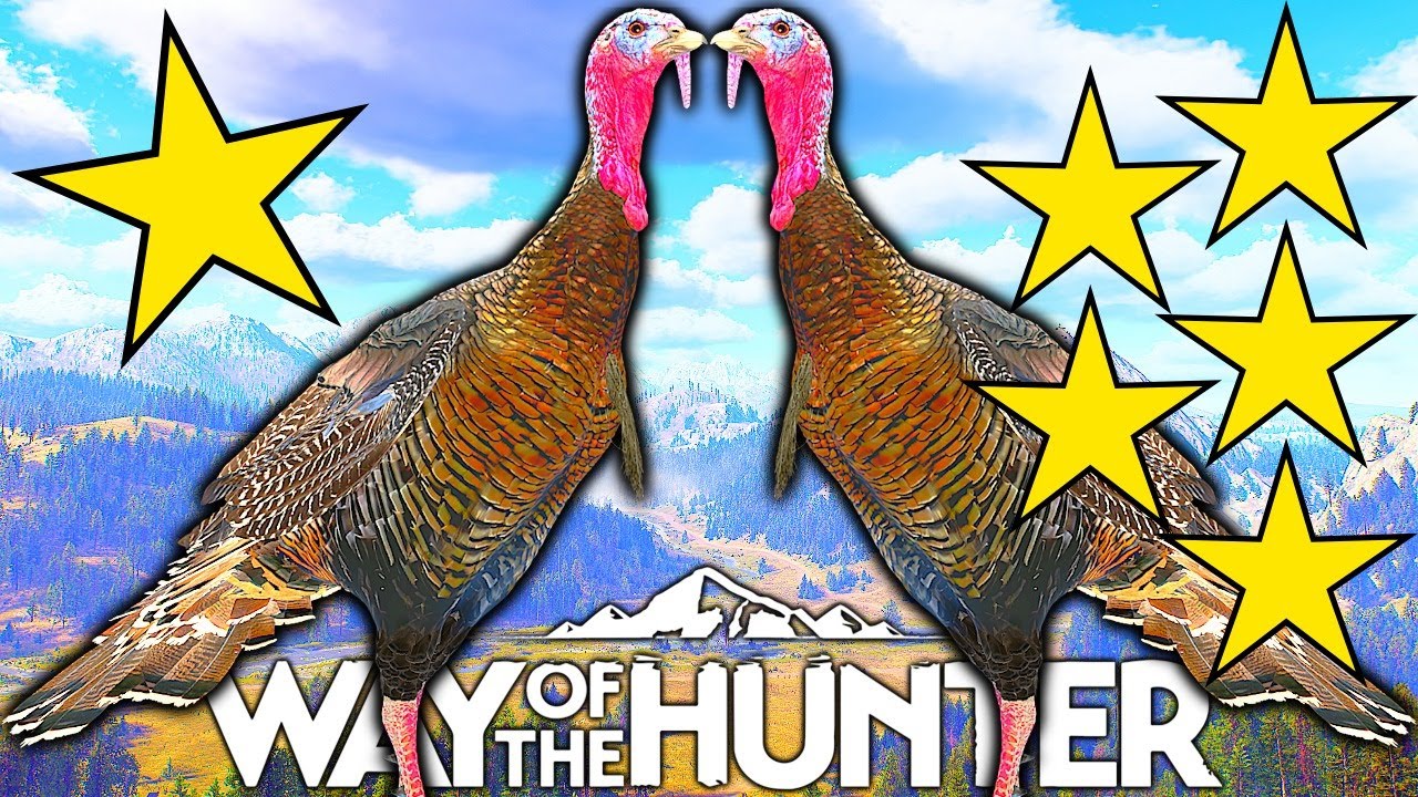 One to Five Star Wild Turkey | Way of the Hunter