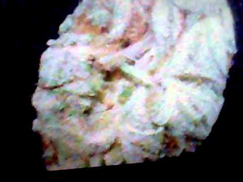 EVERYDAY 420, WEED SONG