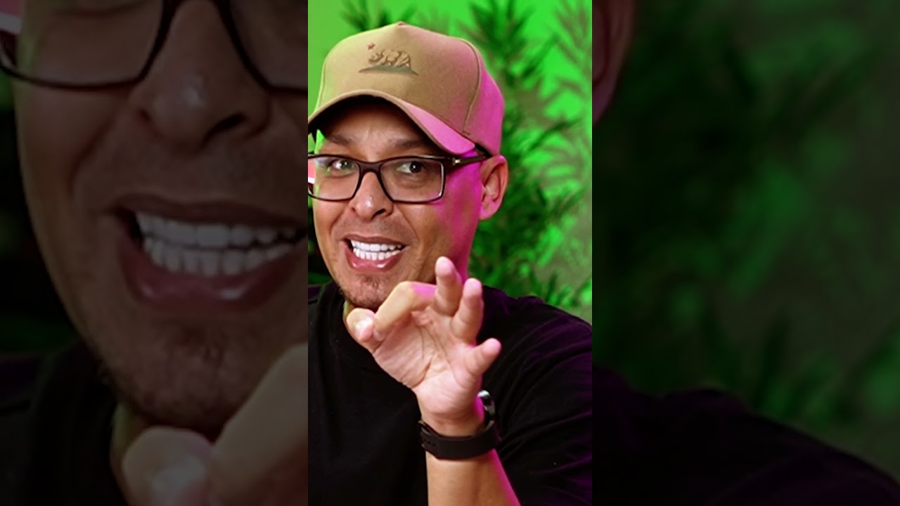 Cuidado com Traições no WhatsApp 🚨