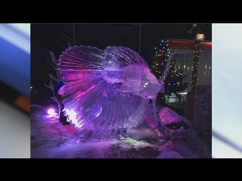 Ice carving competition