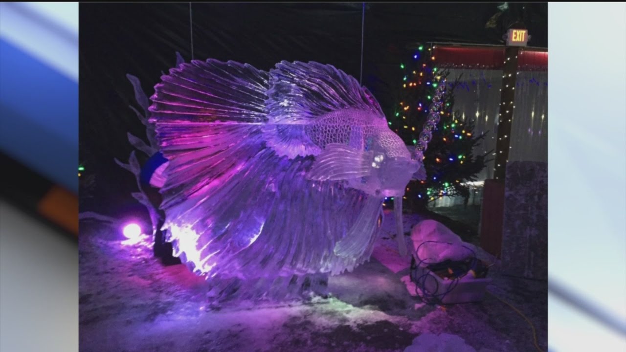 Spectacular Ice Carving Competition at Hamburg Fairgrounds ❄️