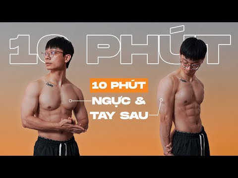DỄ // 10 Phút tập NGỰC & TAY SAU ngay tại nhà (0 dụng cụ) | Chest & Triceps Home Workout | SHINPHAMM