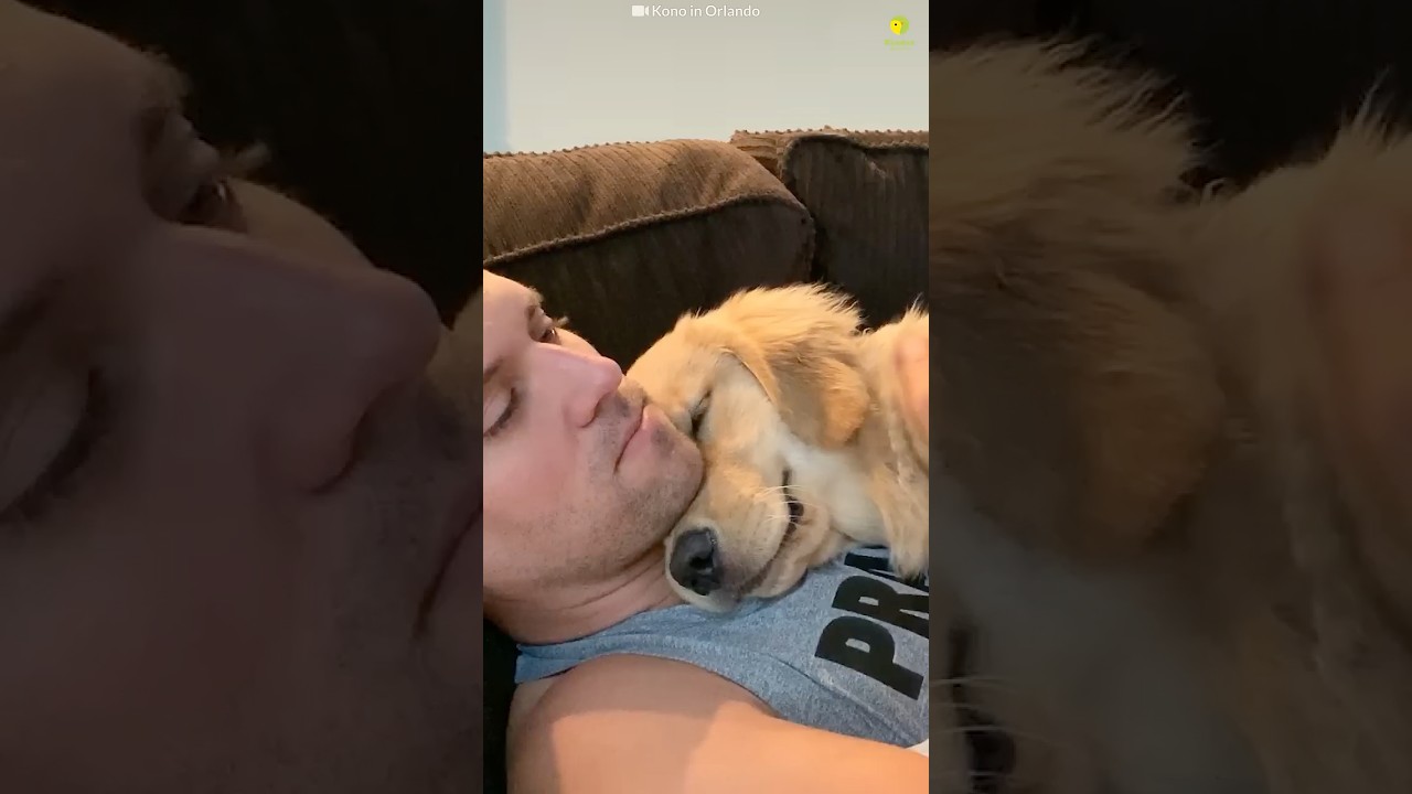 Would You Hug These Animals? 🐾