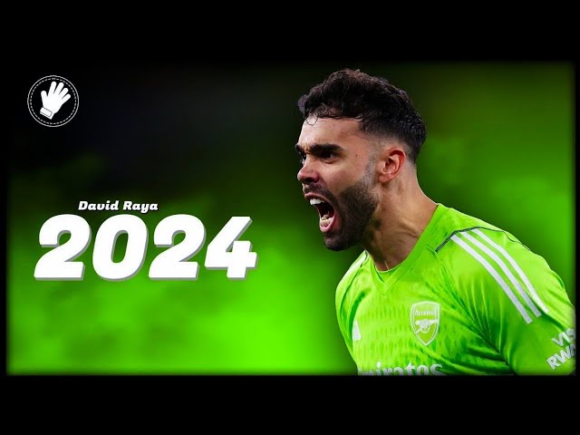 David Raya's Top Goalkeeper Saves | HD Highlights β½