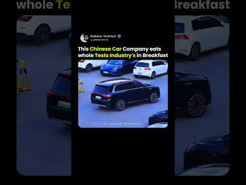 This Chinese Car Company eats whole Tesla Industry's in Breakfast