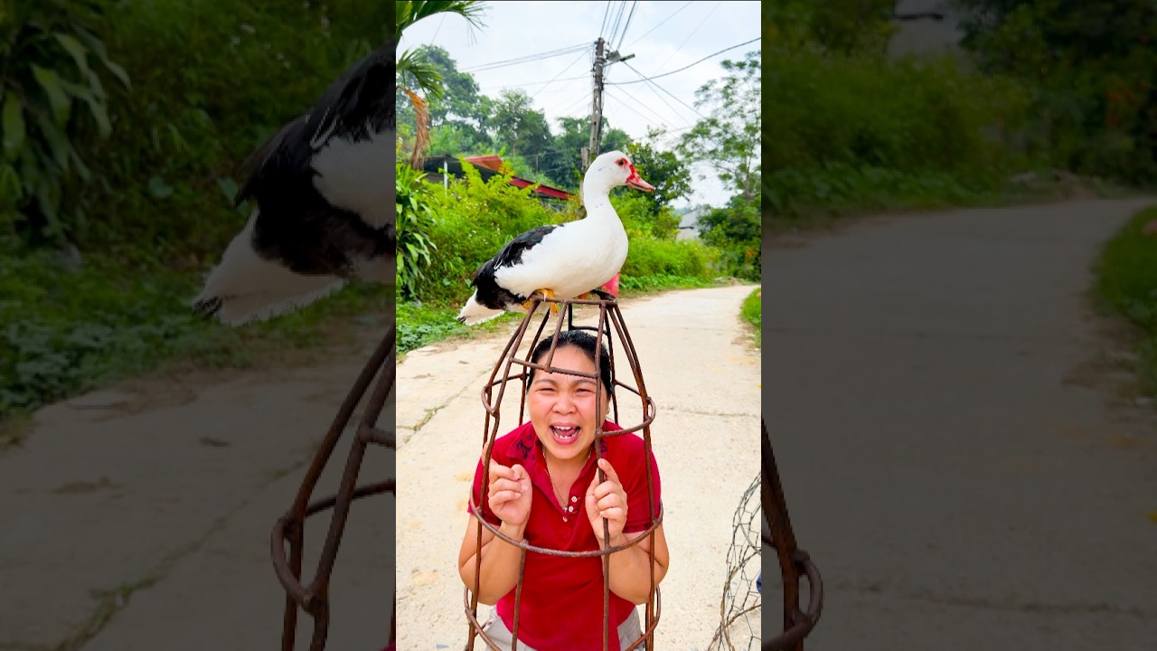 Enjoy Heartwarming and Hilarious Family Moments