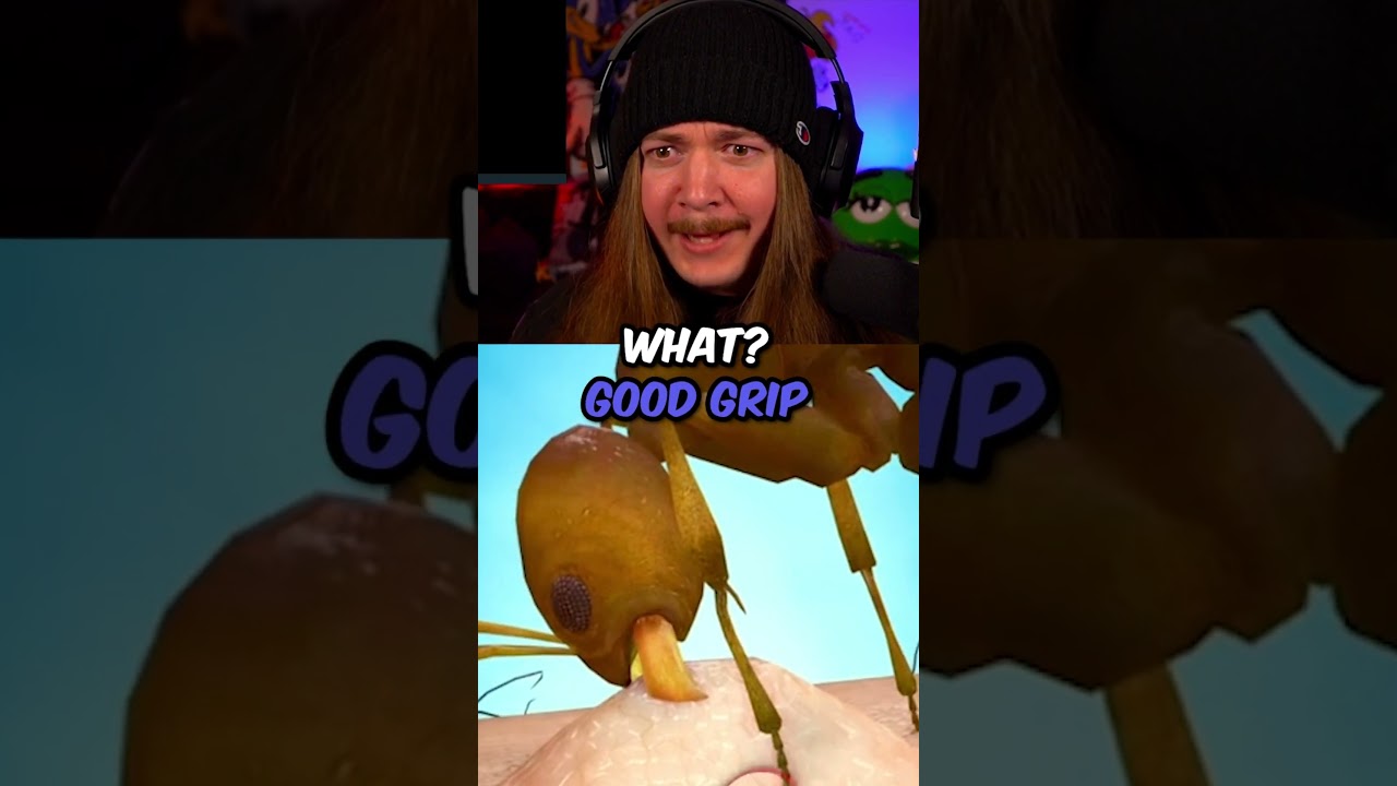 Ants Have Been Freaky All Along 🐜