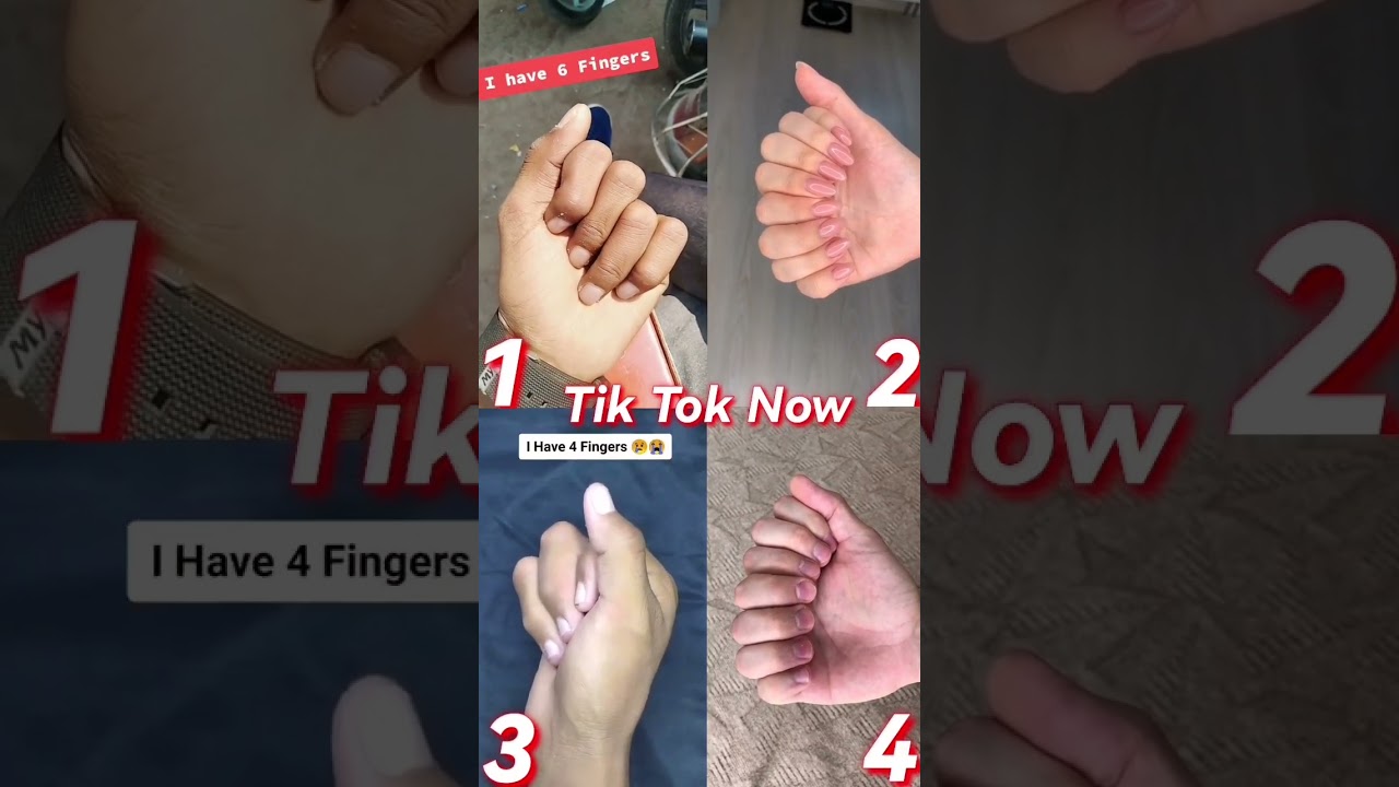 Who's the Best? 1, 2, 3, or 4? ✋