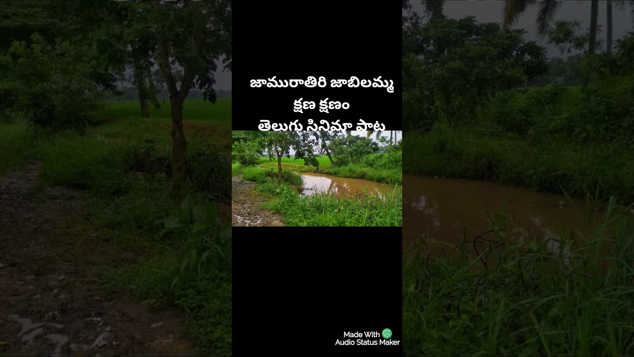 Jaamu Rathiri Song from Kshana Kshanam 🎶 | Venkatesh, Sridevi & More | Memorable Movie Track