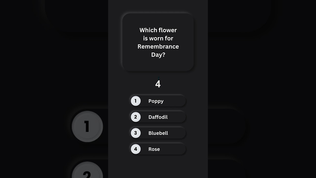 Flower Worn on Remembrance Day ๐ฌ๐ง