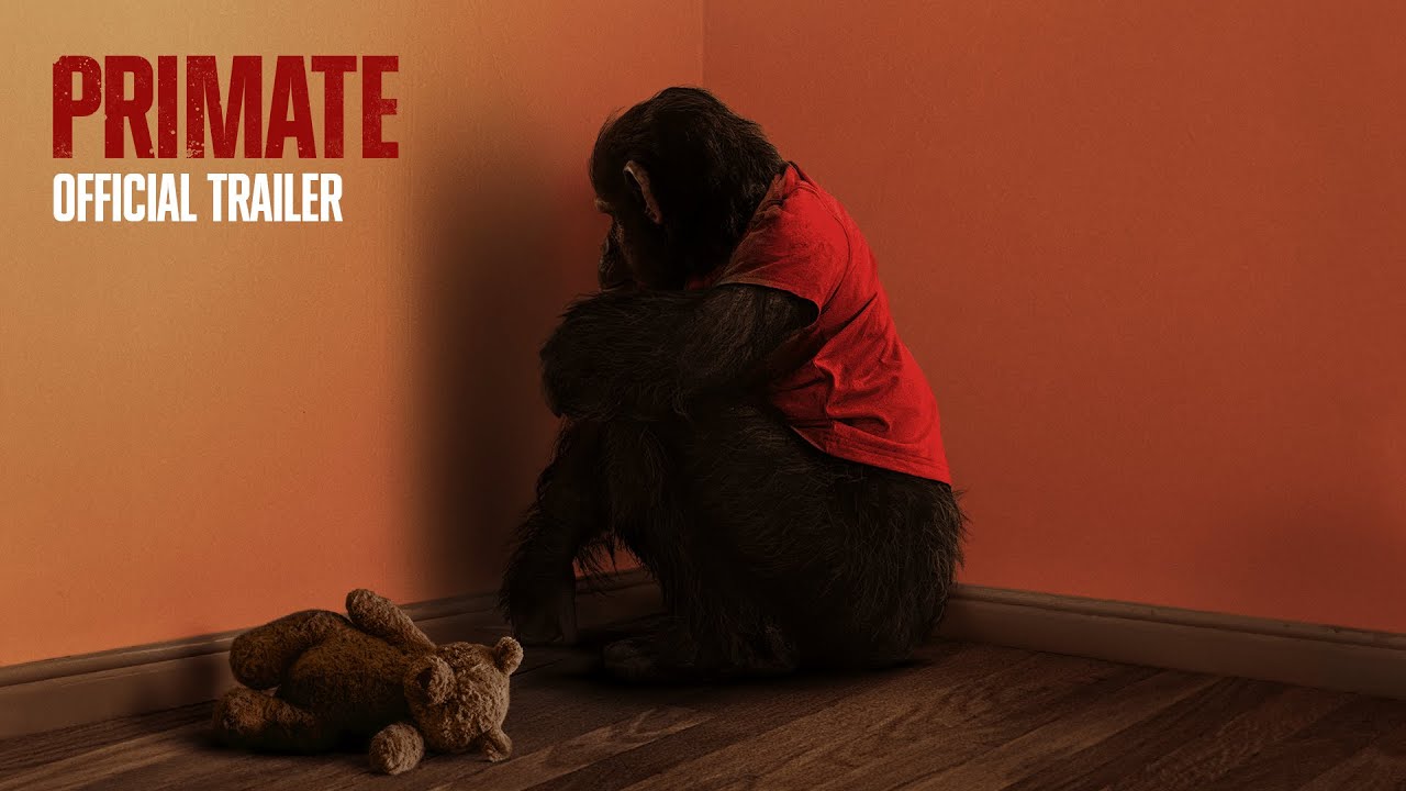 Primate (2026) Official Trailer – A Jungle Thriller Coming Soon 🌴