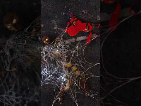 A shocking comeback comes to END #spiderman #shocking #comeback #comes