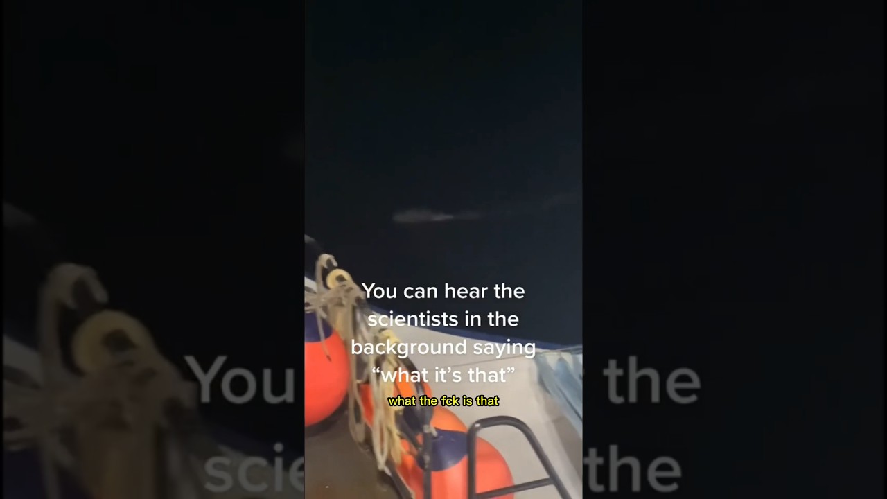 Fisherman's Nightmare Part 2 π£