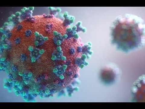 Coronavirus Revealed: Insights via Computational Microscopy