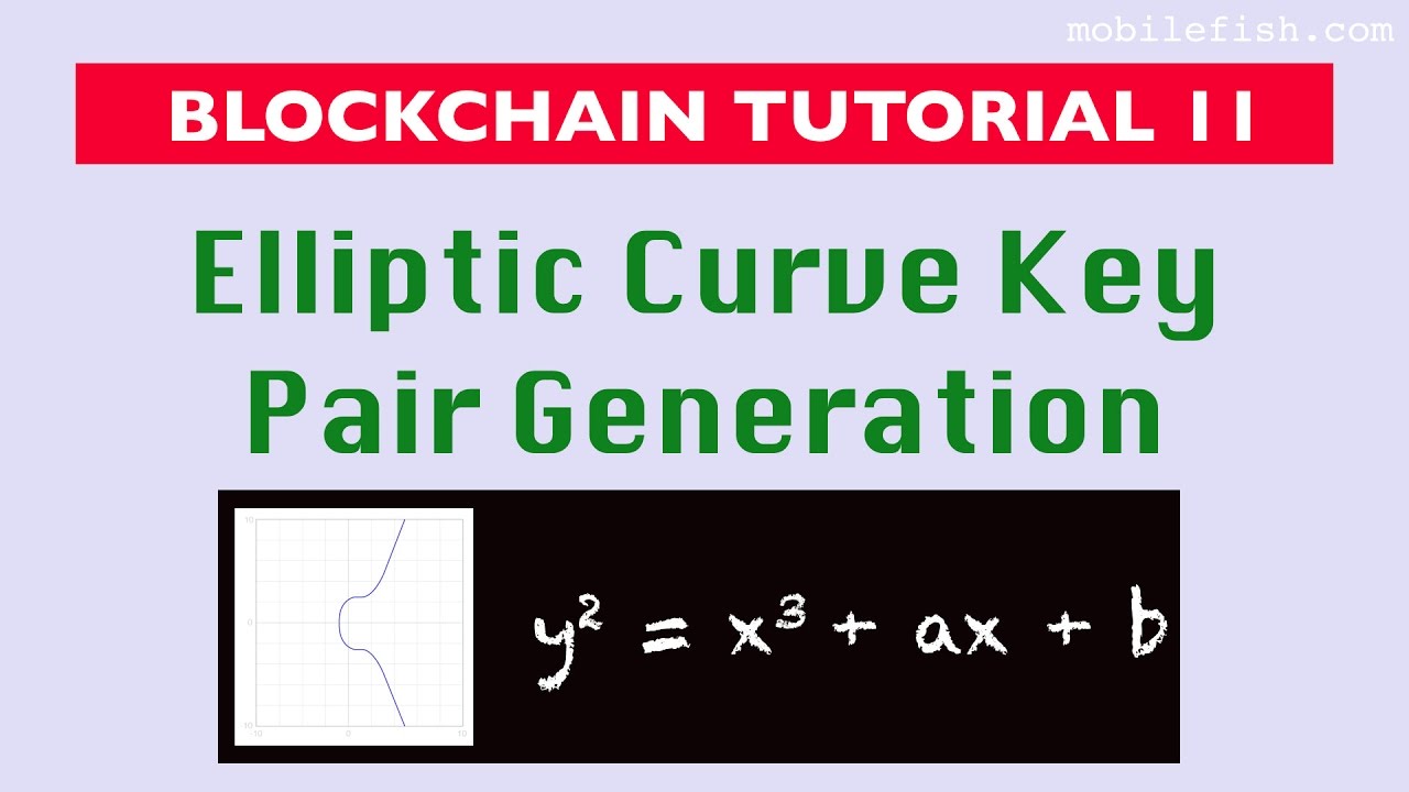 Blockchain Tutorial 11: How to Generate Elliptic Curve Key Pairs 🔐