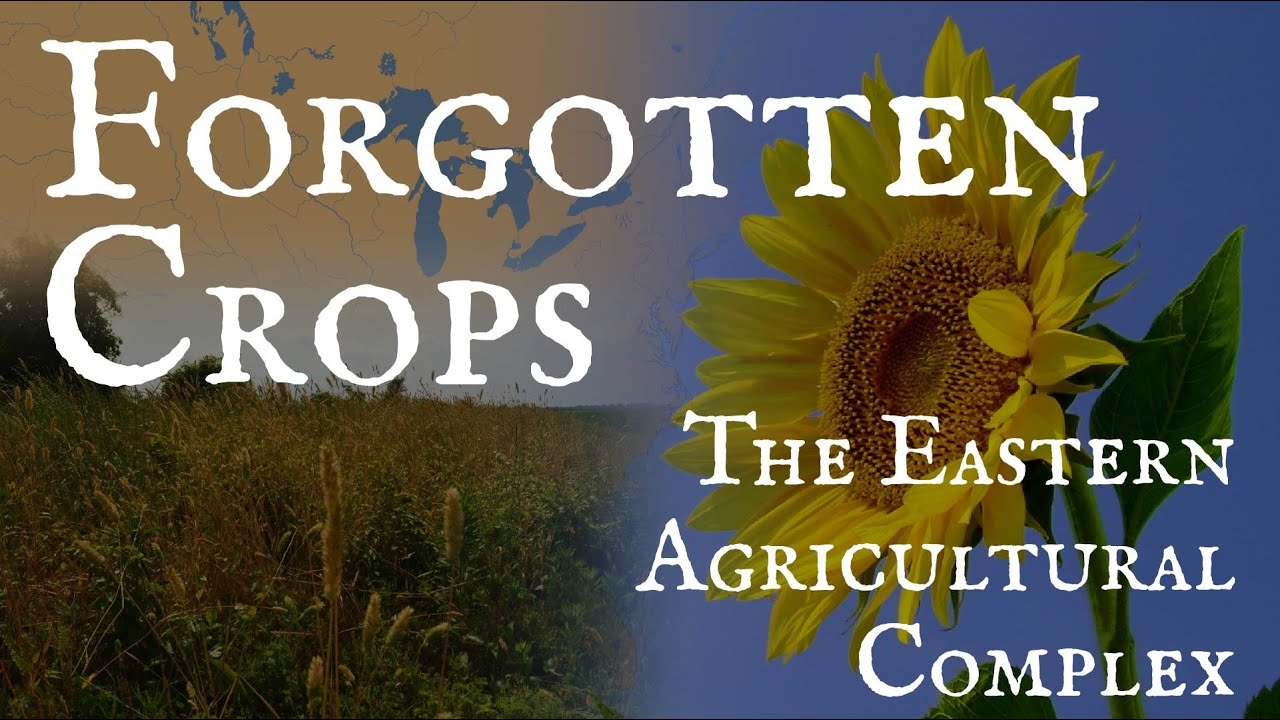 North America's Forgotten Crops: The Eastern Agricultural Complex 🌾