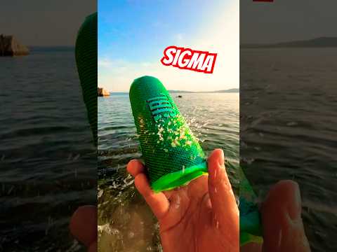 Saltwater Bass Check ✅