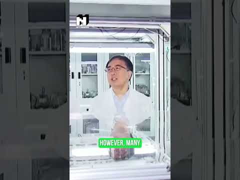 Could Quantum Computing Really Hack Bitcoin? Experts Debunk RSA Encryption Crack Claims