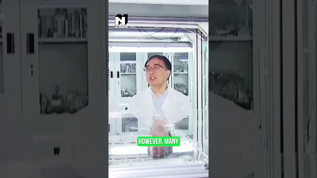 Can Quantum Computers Actually Hack Bitcoin? Experts Debunk the Myth 🛡️