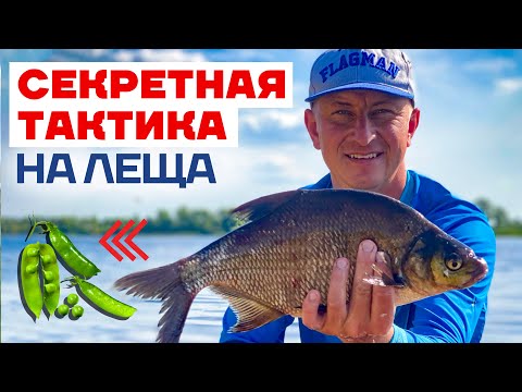 🔥 Ловля Крупного ЛЕЩА на Фидер летом! Секреты Чемпиона Мира по Фидерной ловле. Лещ на фидер