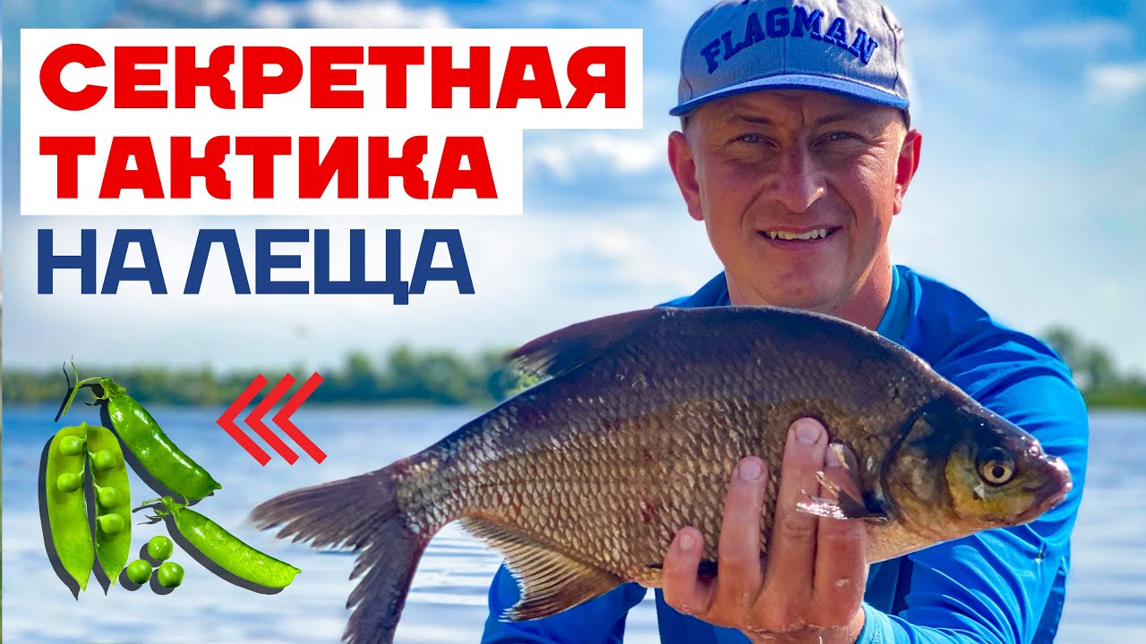 🔥 Ловля Трофейного Леща на Фидер летом! Советы Чемпиона Мира 🎣