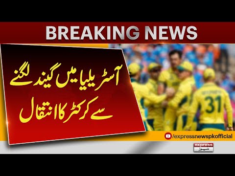 Australian Cricketer Dies After Being Hit by Ball | Breaking News | Pakistan News