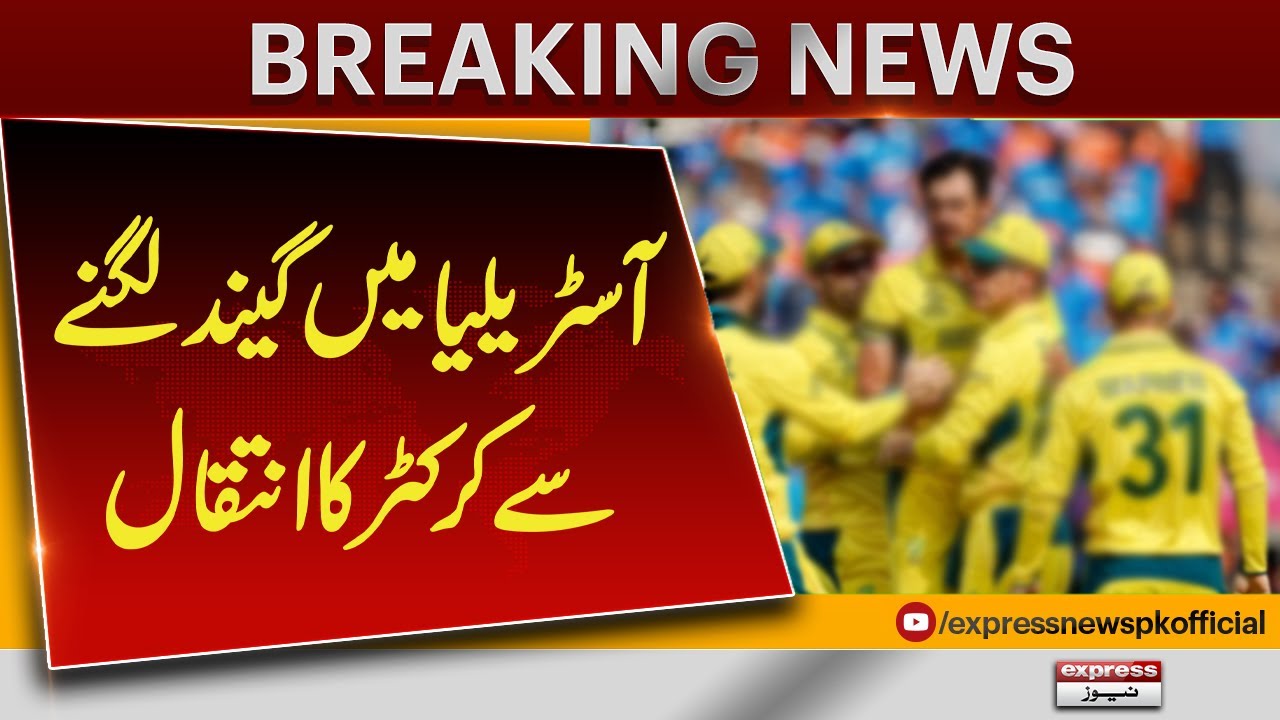 Tragic Loss: Australian Cricketer Dies After Being Hit by Ball π