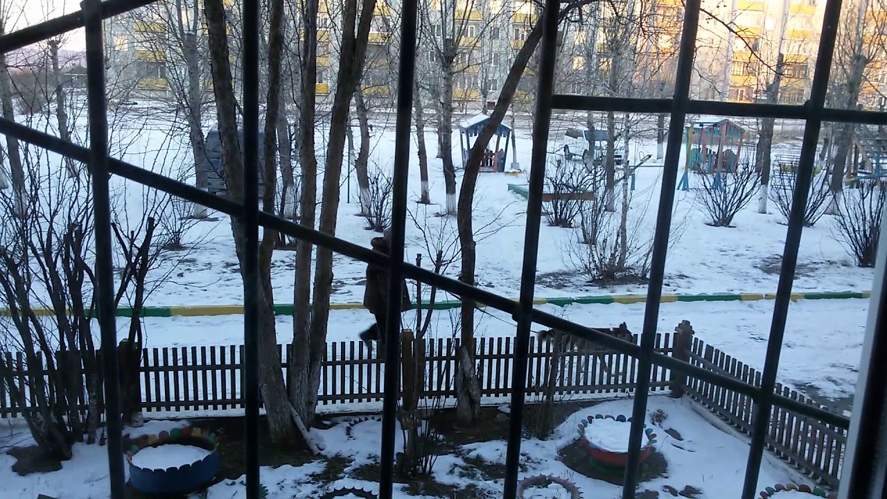 Прогноз погоды в Чите на декабрь ❄️ — что ожидать от зимы в Забайкалье