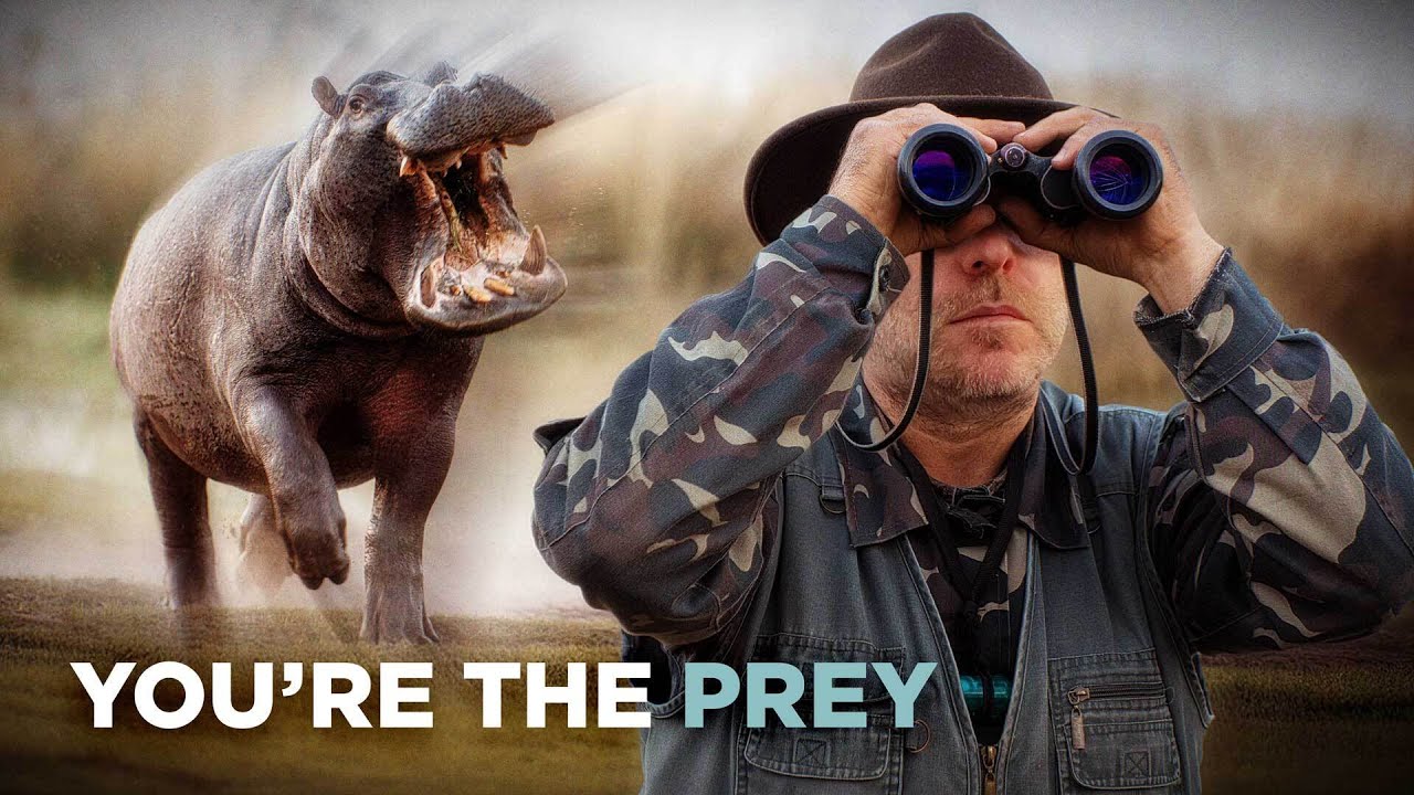 Animals That Will Hunt You Back 🦁