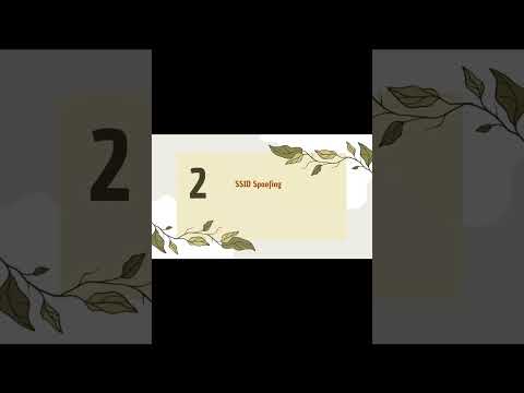 Wireless LAN Security