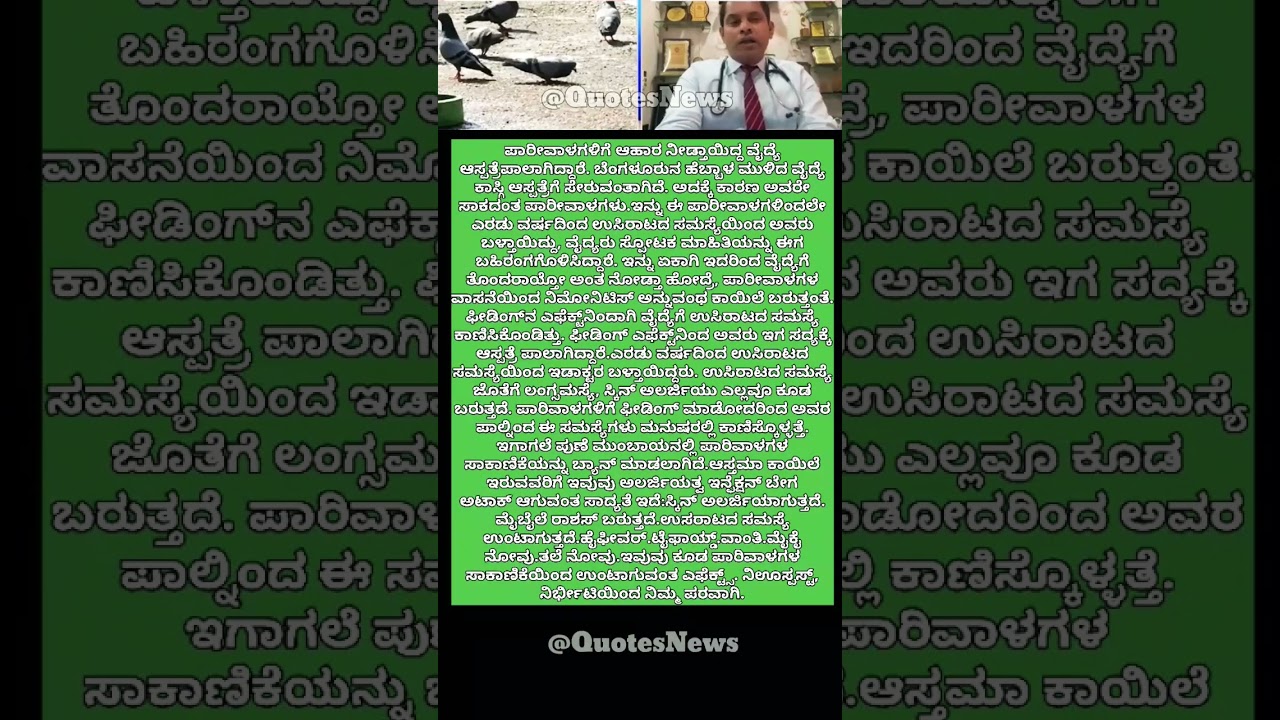 ವೈದ್ಯೆ ಪಾರೀವಾಳಗಳಿಗೆ ಆಹಾರ ನೀಡಿದ್ದು ವೈರಲ್! 🦜 #Shorts