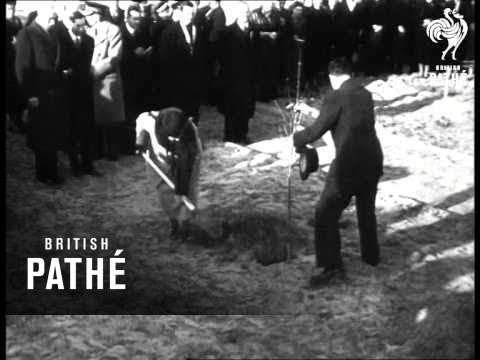 Queen Wilhelmina Plants Tree (1948)