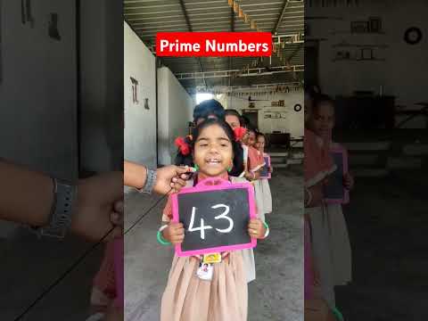 Prime Numbers #prime #numbers #education #maths #school #viralvideo #trending 🌈😍