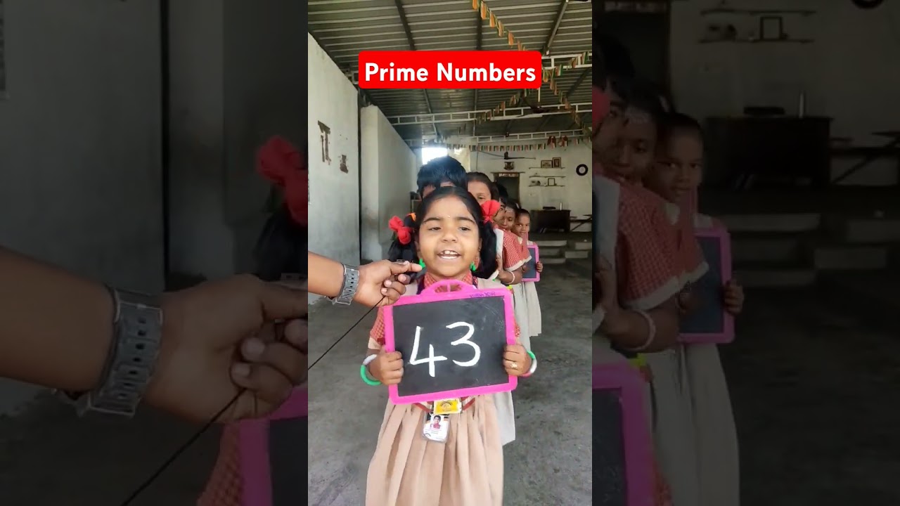 Understanding Prime Numbers