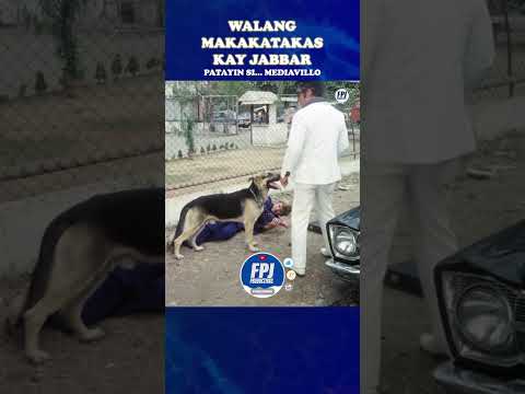 Ang Galing ng Aso ng Daking FPJ! #fpj #fpjmovies #patayinsimediavillo