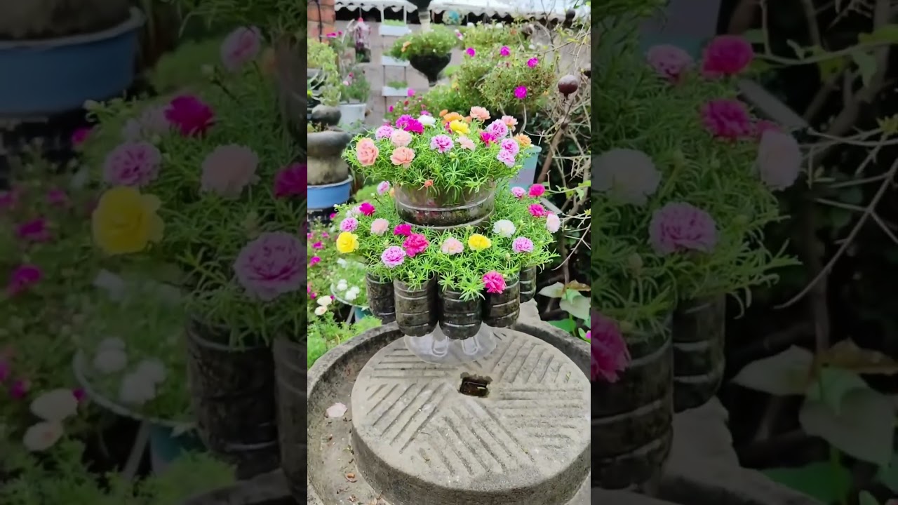 Creative Bottle Planter Ideas for Portulaca Flowers 🌸