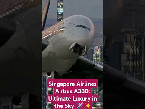 Singapore Airlines Airbus A380: Ultimate Luxury in the Sky ✈️✨ #breaking360