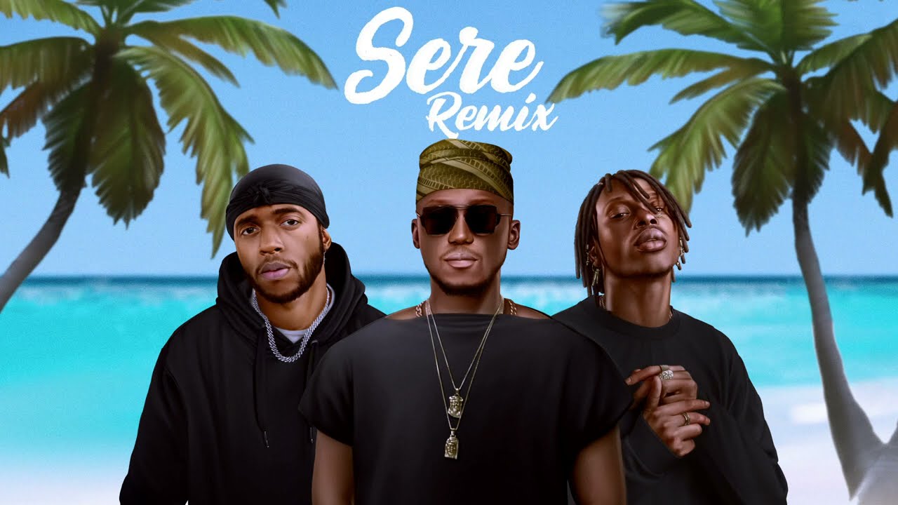 Spinall - Sere Remix ft. 6lack & Fireboy DML 🎶 | Official Music Video