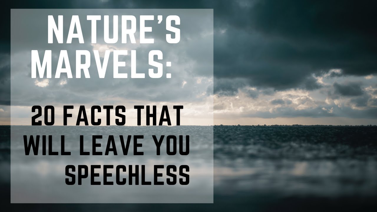 Nature's Marvels: 20 Amazing Facts 🌿