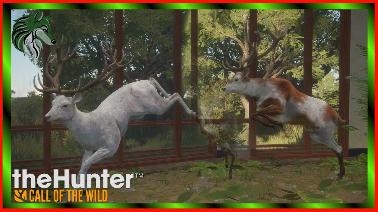ALBINO & PIEBALD RED DEER BULLS WITH A BOW BEFORE TRURACS! theHunter Call Of The Wild