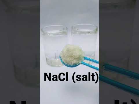 Science Experiment 🔬 🧪 #shorts #viralshorts #experiment