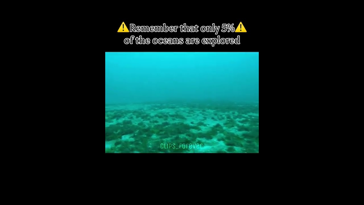 Proof Mermaids Are Real: Caught on Camera 🧜‍♀️