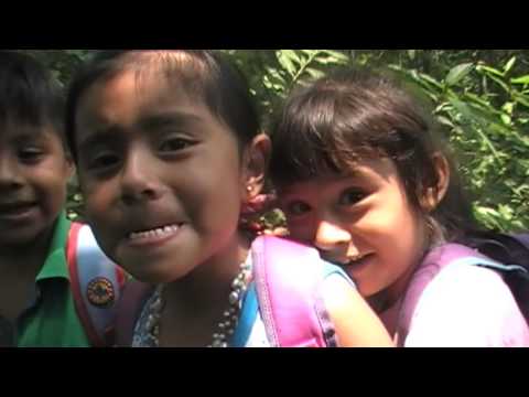 Bosque Siniestro (version HD)